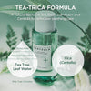 SKIN1004 Tea-Trica Purifying Toner 210ml