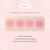 MilleFee Juicy Veil Jelly Tint