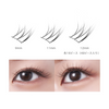 Miche Bloomin' False Eyelashes No.48